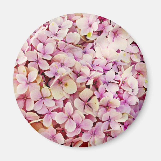 Fina Hydrangea Flowers Magnet (Framsidan)
