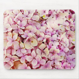Fina Hydrangea Flowers Musmatta