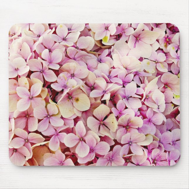 Fina Hydrangea Flowers Musmatta (Framsidan)
