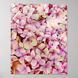 Fina Hydrangea Flowers Poster