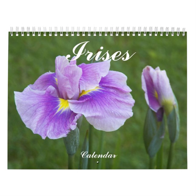Fina Irises-Blommigten foto Kalender (Omslag)