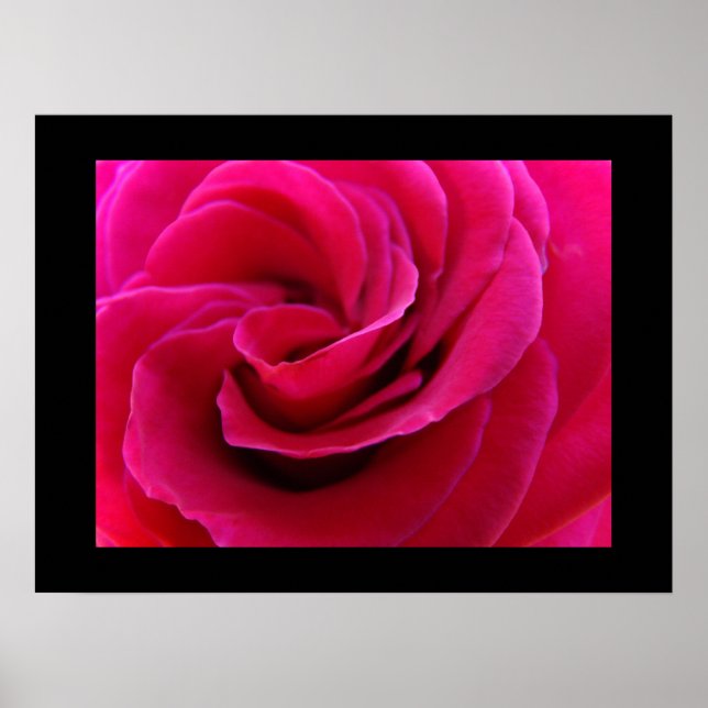 Fina konsttryck Giclee Blommig Rosa Ros Blomma Poster (Framsidan)