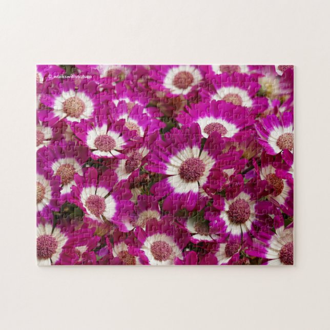 Fina Lila Cineraria Flowers Pussel (Horisontell)