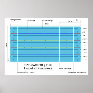 Fina Long Course Swimming Bassäng Standard Chart C Poster