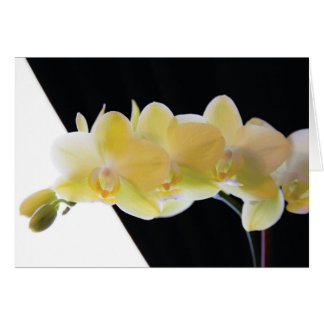 Fina morgonOrchids Hälsningskort