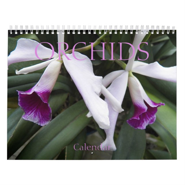 Fina Orchids-Blommigt - foto Kalender (Omslag)