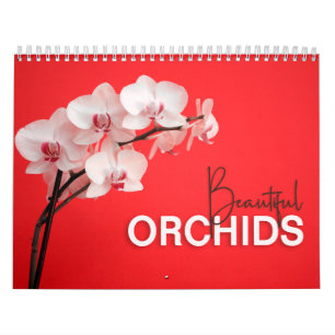 Fina Orchids med 2022 års väggkalender Kalender