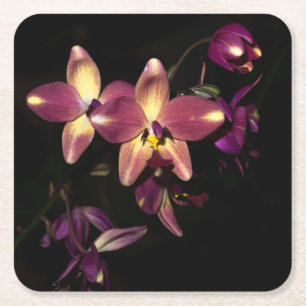 Fina Orchids Underlägg Papper Kvadrat