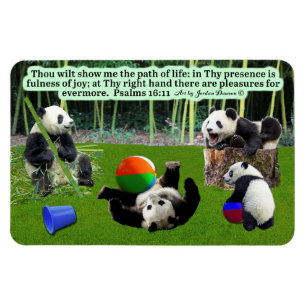 Fina Panda Scripture Magnet Psalms 16:11