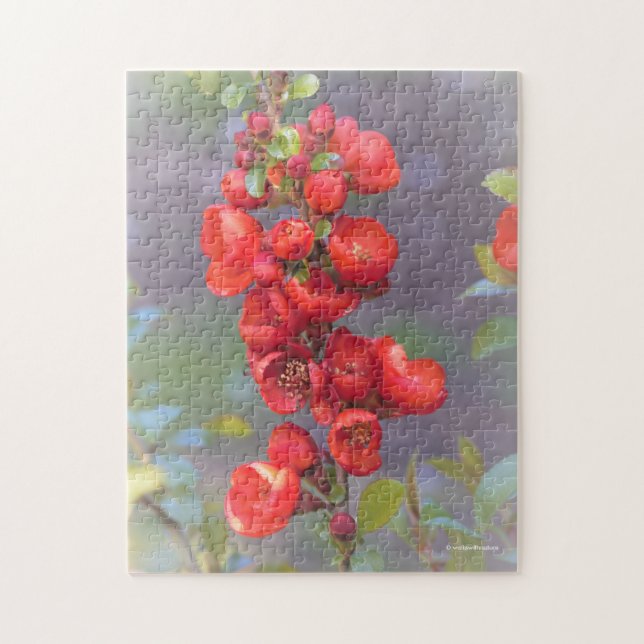 Fina Red Orange Quince Flowers Pussel (Vertikal)