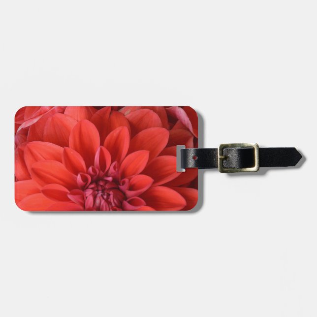 Fina, röda dahlia-blommor bagagebricka (Horisontell Framsida)
