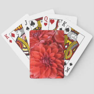 Fina, röda dahlia-blommor casinokort