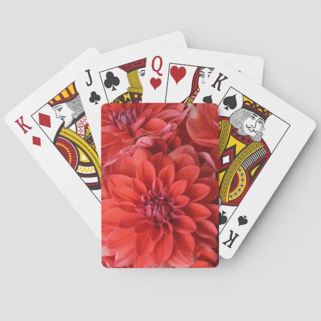 Fina, röda dahlia-blommor casinokort (Baksidan)