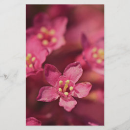 Fina Rosa Flowers Brevpapper