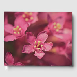 Fina Rosa Flowers Gästböcker