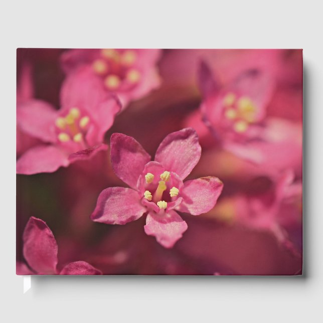 Fina Rosa Flowers Gästböcker (Framsida)