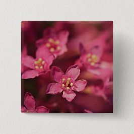 Fina Rosa Flowers Knapp