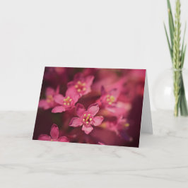 Fina Rosa Flowers Kort