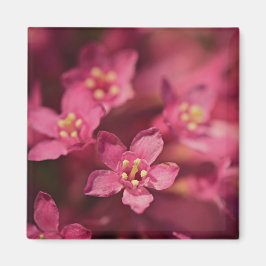 Fina Rosa Flowers Magnet