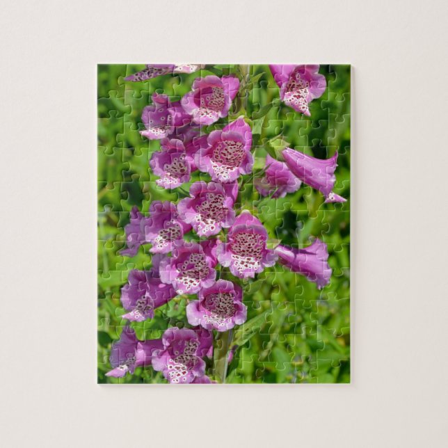 Fina rosa foxglove blommor pussel (Vertikal)