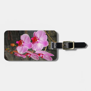 Fina rosa moth orchids bagagebricka