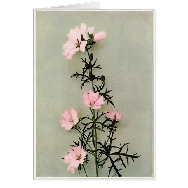 Fina Rosa Vild Flowers Hälsningskort (Framsidan)