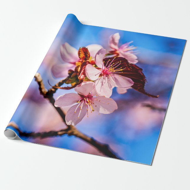 Fina Sakura-Blommar Presentpapper (Utrullad)