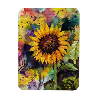 Fina solblommor i vattenfärg magnet
