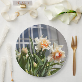 Fina, söta daffodils vår