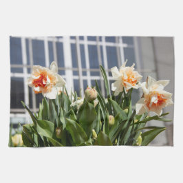 Fina, söta daffodils vår kökshandduk