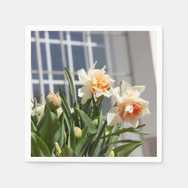 Fina, söta daffodils vår pappersservett