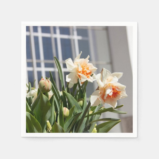 Fina, söta daffodils vår pappersservett (Framsidan)