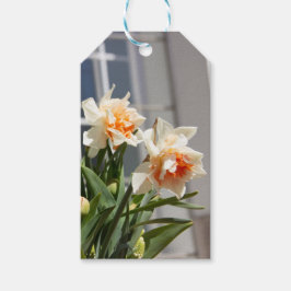 Fina, söta daffodils vår presentetikett