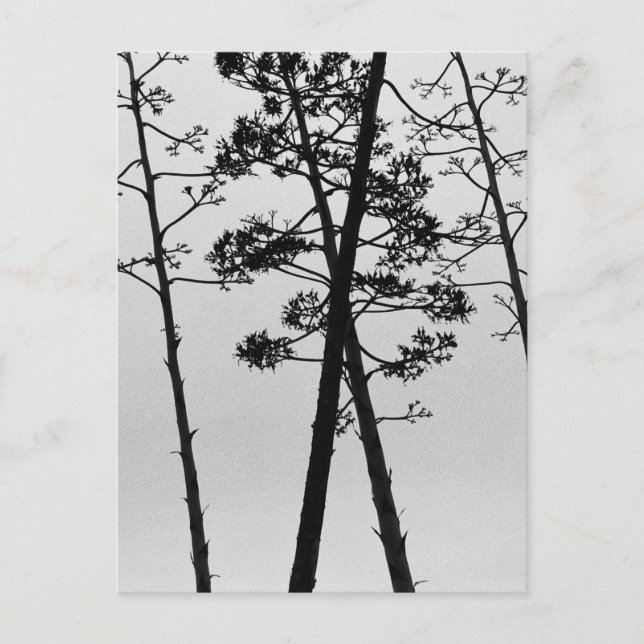 Fina stjälkblommor vykort (Framsida)