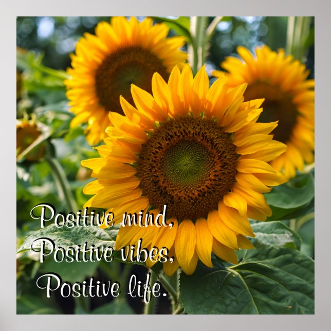 Fina Sunblommor under Sol-Personligen Poster (Framsidan)