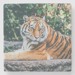 Fina Tiger Stone Underlägg