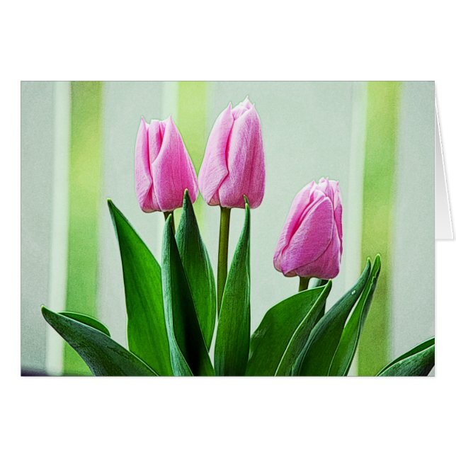 Fina tulpanblommor från vår rosa, grönt löv hälsningskort (Framsidan Horizontal)