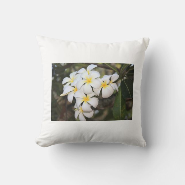 Fina vita blommor, Plumeria, kudde (Framsida)