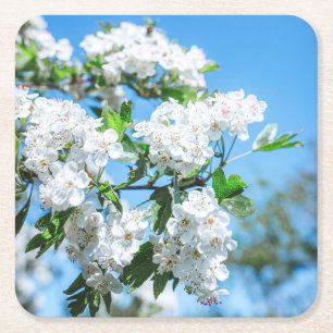 Fina vita blommor Underlägg uppsättning Papper Kvadrat