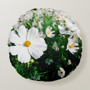 Fina vita cosmos blommor i trädgården rund kudde