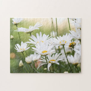 Fina vita Daisy Blommor i Grönt Fält Pussel