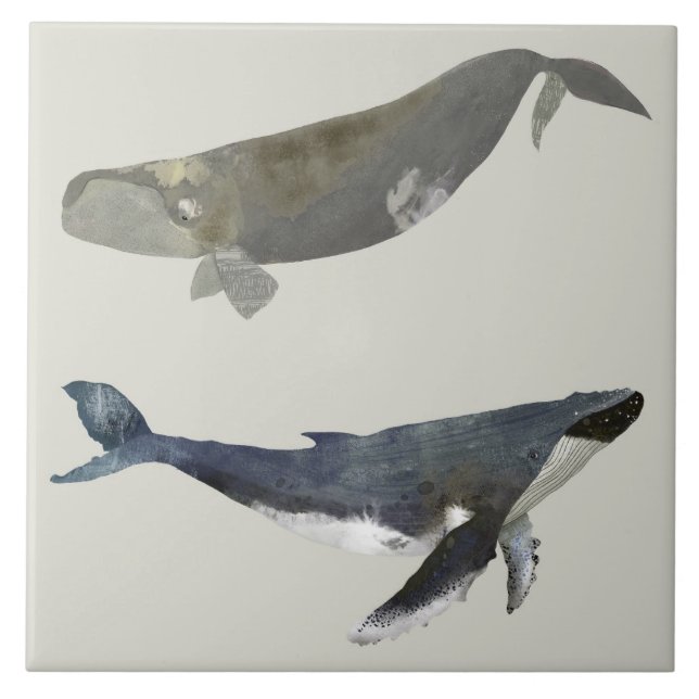 Fina Whales Ceramic Kitchen Tile Kakelplatta (Framsidan)