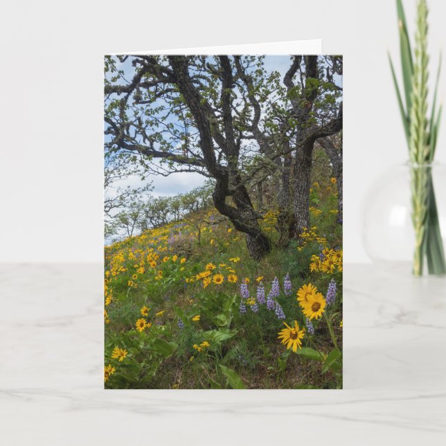 Fina Wildblommor på ett foto från Backe Kort (Framsida)