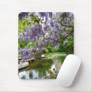 Fina Wisteria-blommor Musmatta