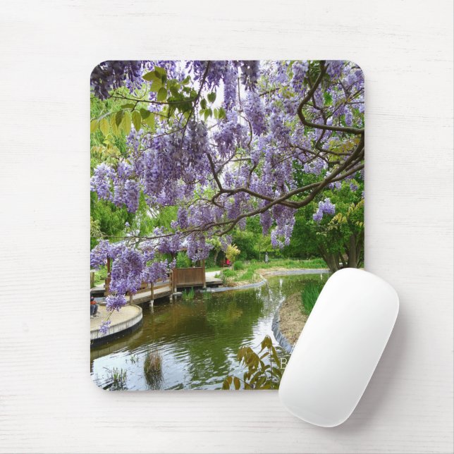 Fina Wisteria-blommor Musmatta (Med mus)