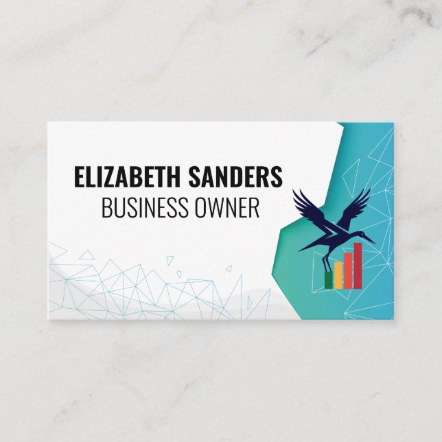 Finance Bird Logo | Corporate Visitkort (Framsida)