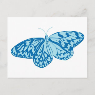Finare Blue Butterfly Vykort