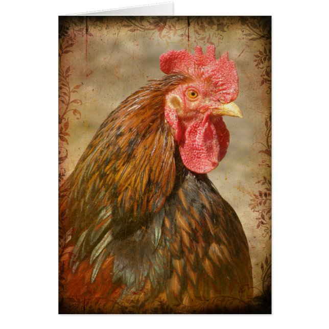 Finare Byxor Hälsningskort (Framsidan)