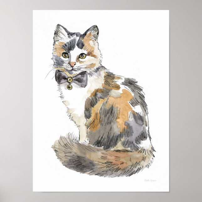 Finare Calico Cat Poster (Framsidan)