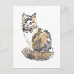 Finare Calico Cat Vykort